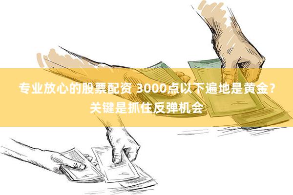 专业放心的股票配资 3000点以下遍地是黄金？关键是抓住反弹机会