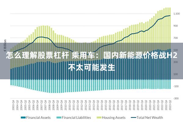 怎么理解股票杠杆 乘用车：国内新能源价格战H2不太可能发生