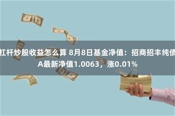 杠杆炒股收益怎么算 8月8日基金净值：招商招丰纯债A最新净值1.0063，涨0.01%