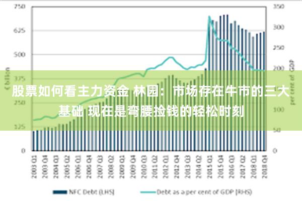 股票如何看主力资金 林园：市场存在牛市的三大基础 现在是弯腰捡钱的轻松时刻