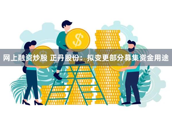 网上融资炒股 正丹股份：拟变更部分募集资金用途