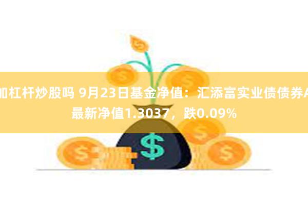 加杠杆炒股吗 9月23日基金净值：汇添富实业债债券A最新净值1.3037，跌0.09%