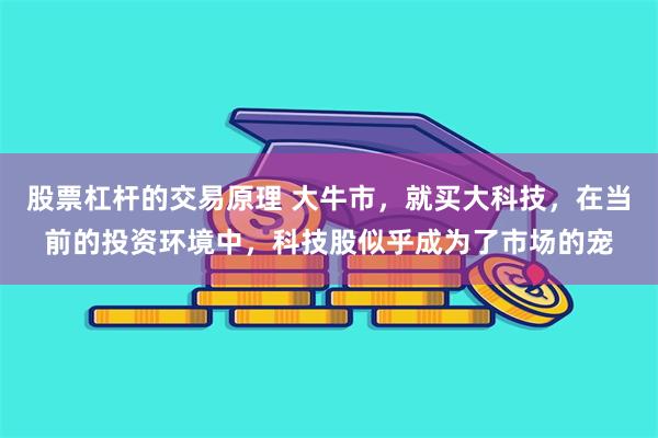 股票杠杆的交易原理 大牛市，就买大科技，在当前的投资环境中，科技股似乎成为了市场的宠