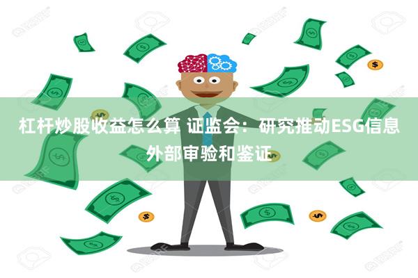 杠杆炒股收益怎么算 证监会：研究推动ESG信息外部审验和鉴证