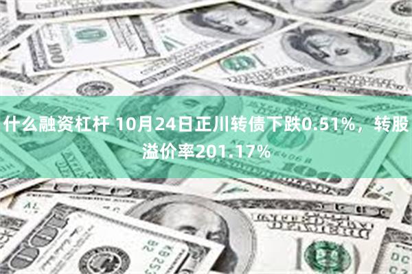 什么融资杠杆 10月24日正川转债下跌0.51%，转股溢价率201.17%