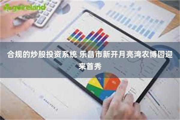 合规的炒股投资系统 乐昌市新开月亮湾农博园迎来首秀