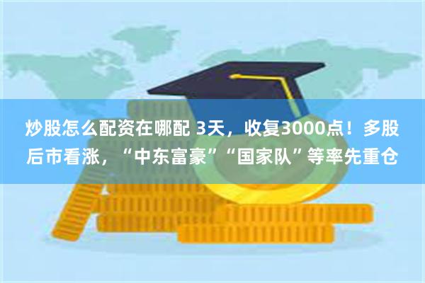 炒股怎么配资在哪配 3天，收复3000点！多股后市看涨，“中东富豪”“国家队”等率先重仓