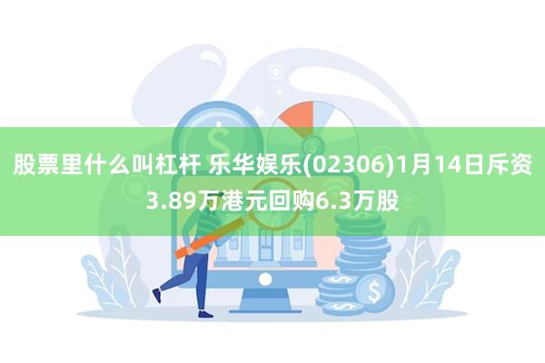 股票里什么叫杠杆 乐华娱乐(02306)1月14日斥资3.89万港元回购6.3万股