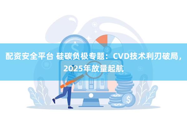 配资安全平台 硅碳负极专题：CVD技术利刃破局，2025年放量起航